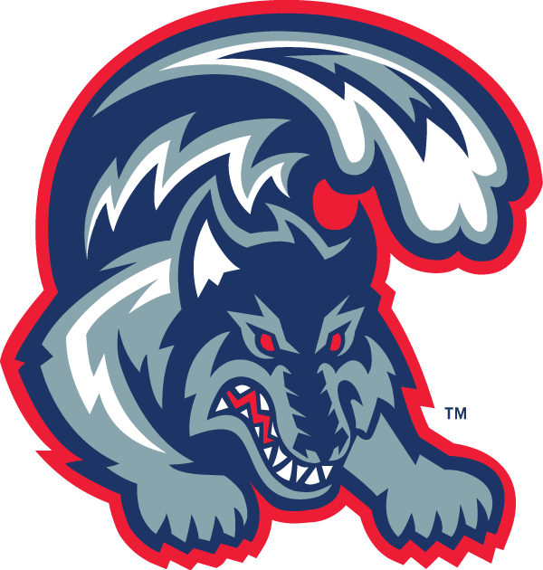 Stony Brook Seawolves 1998-2007 Alternate Logo iron on transfers for clothing